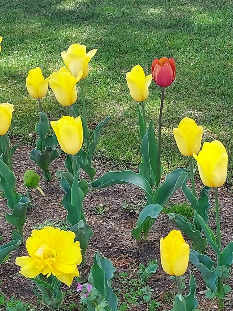 Photograph by Elena Saglio