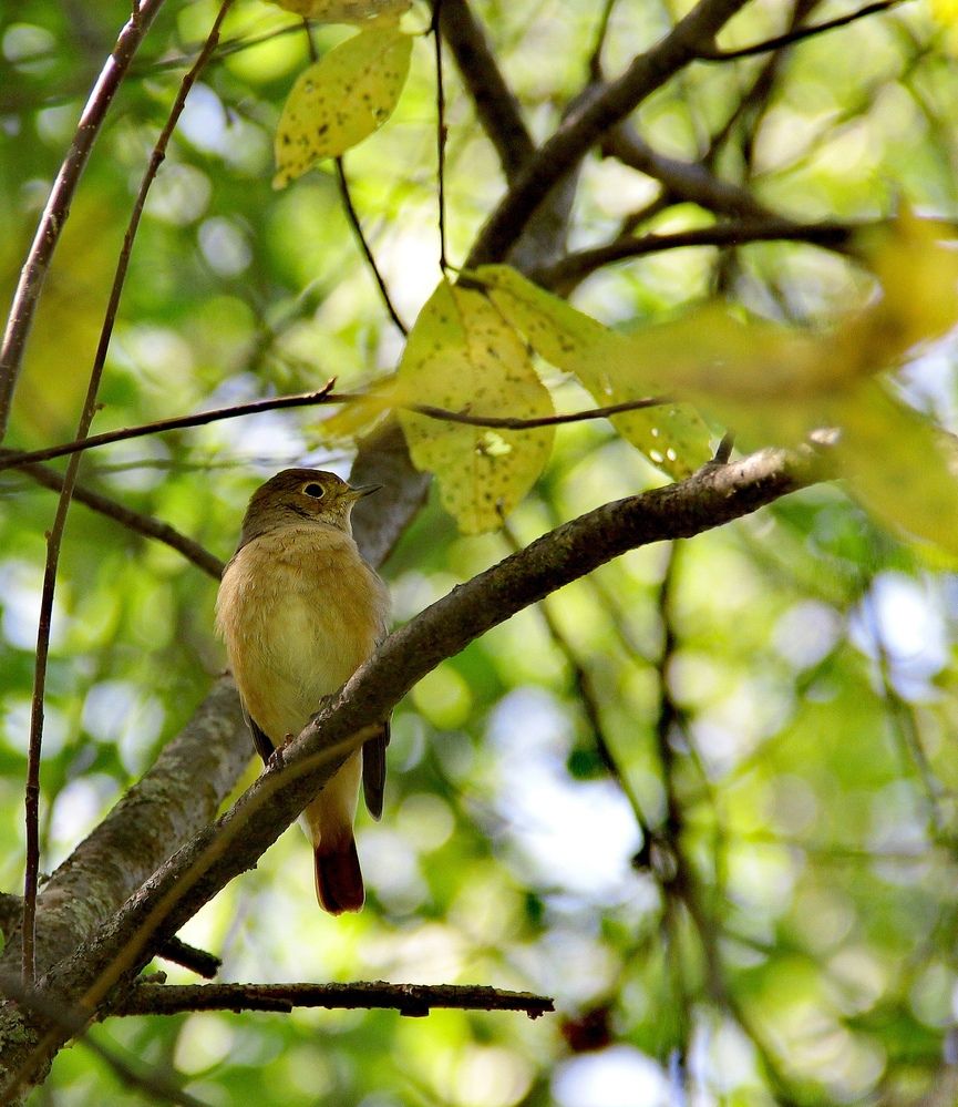 Photograph by Светлана Булыгина