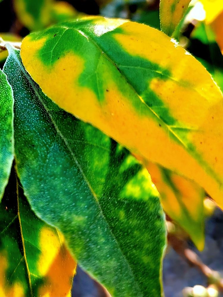 Photograph by Куделенко Оксана