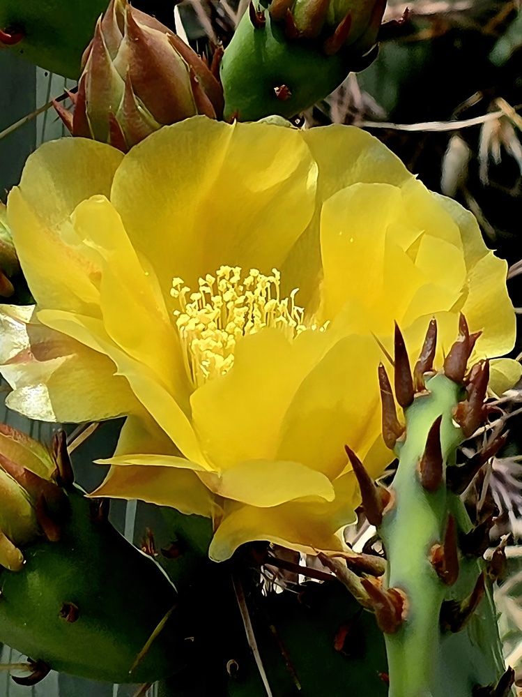 Photograph by Куделенко Оксана