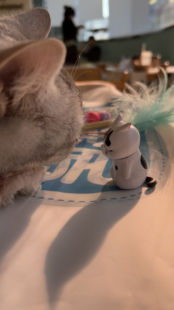 Фотография автора Lawrens Tan