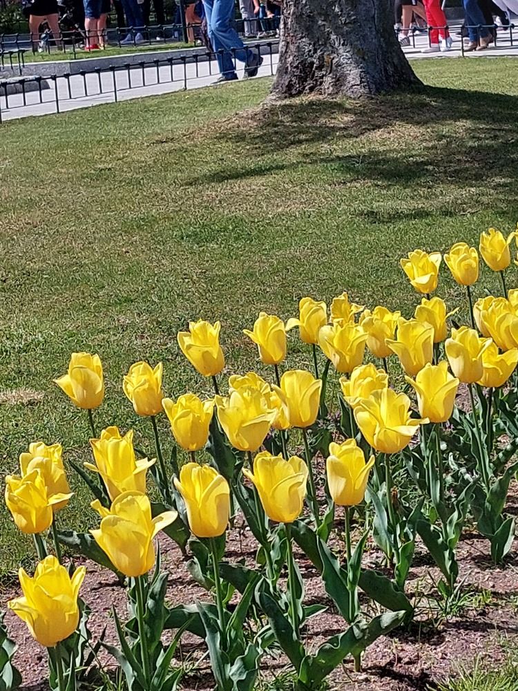 Photograph by Elena Saglio