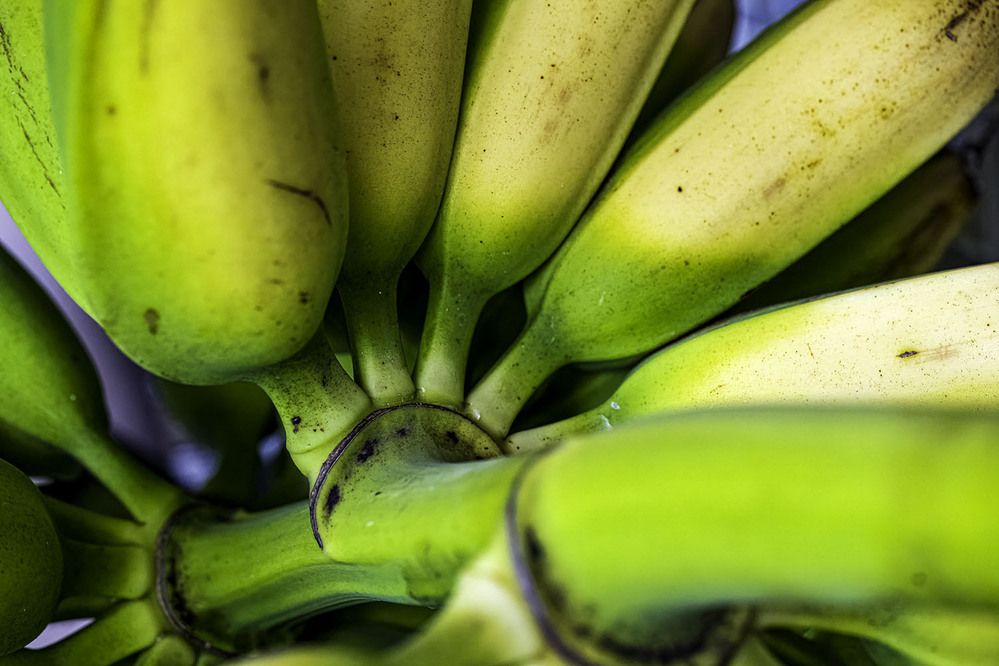 Фотография автора Ray Asiala