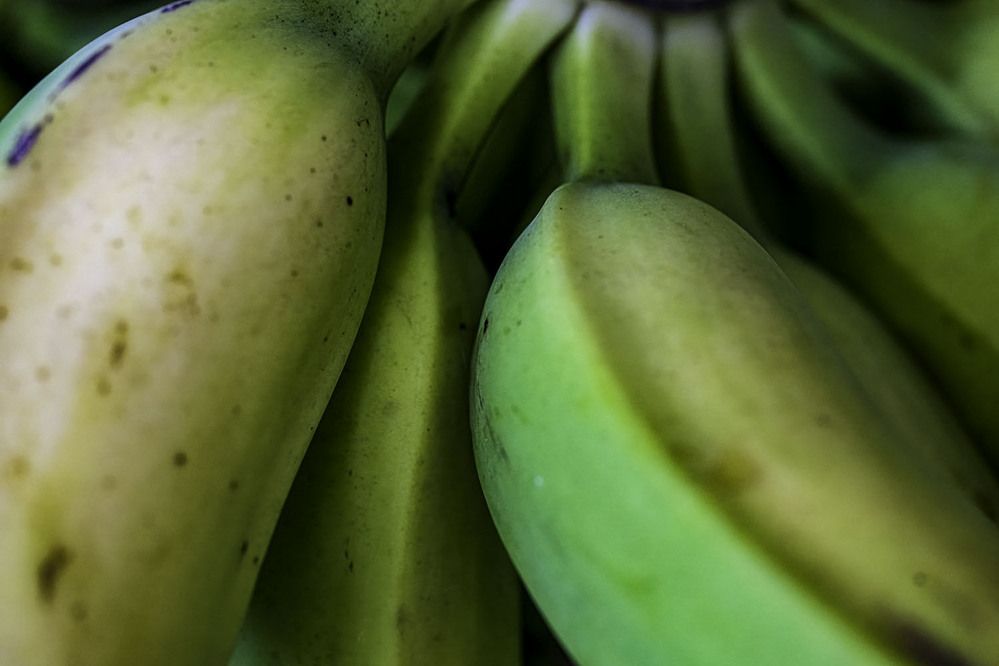 Фотография автора Ray Asiala