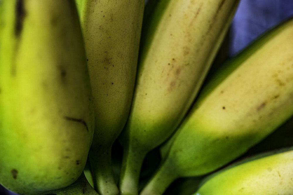 Фотография автора Ray Asiala