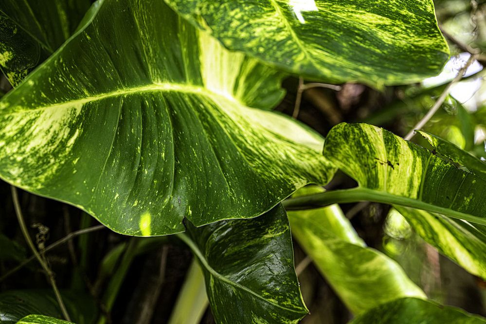 Фотография автора Ray Asiala