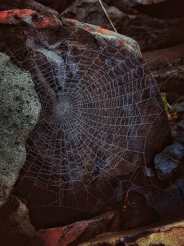 Photograph by Елена Иванова