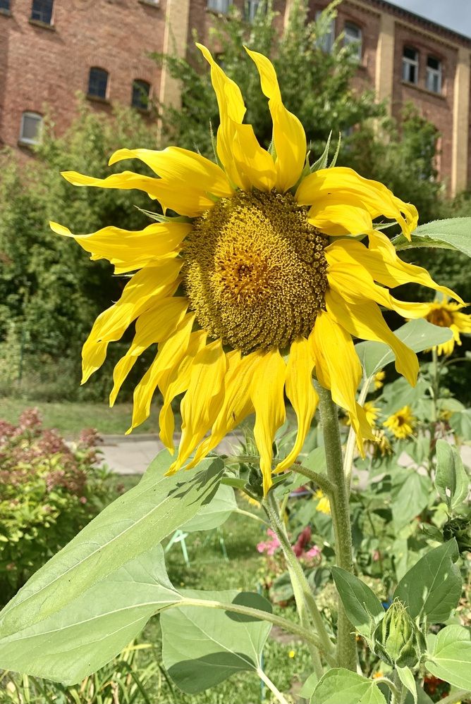 Photograph by Александр Чернега