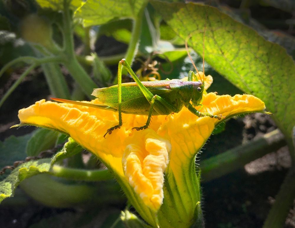 Photograph by Ионова Татьяна