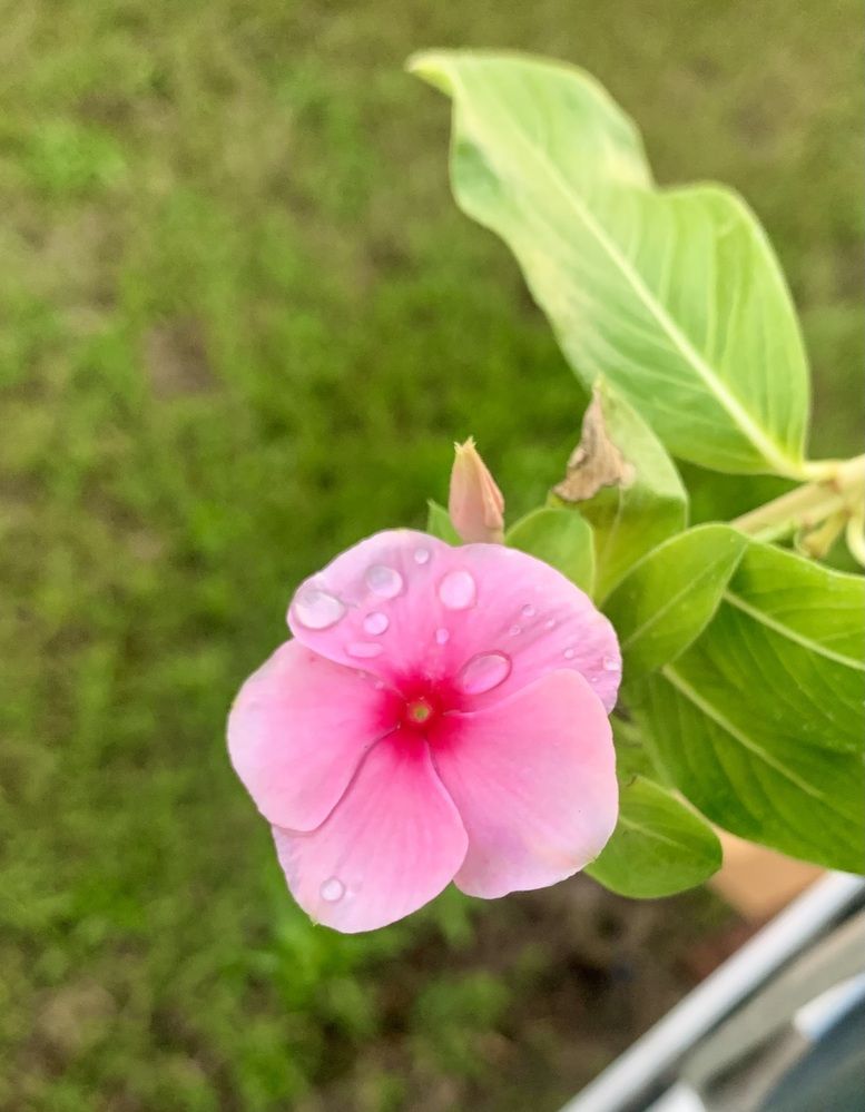 Photograph by Александр Чернега