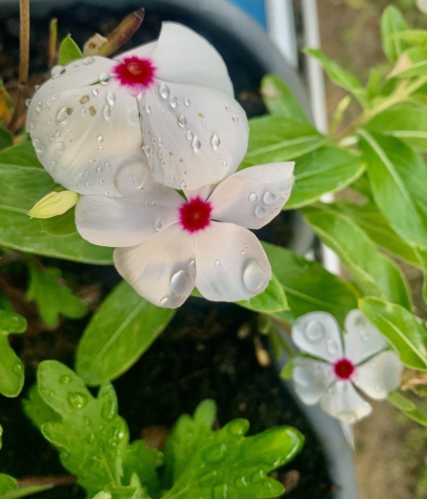 Photograph by Александр Чернега