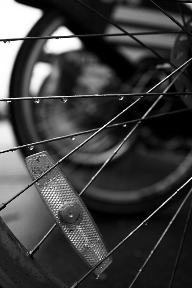 Photograph by Роман Акулов