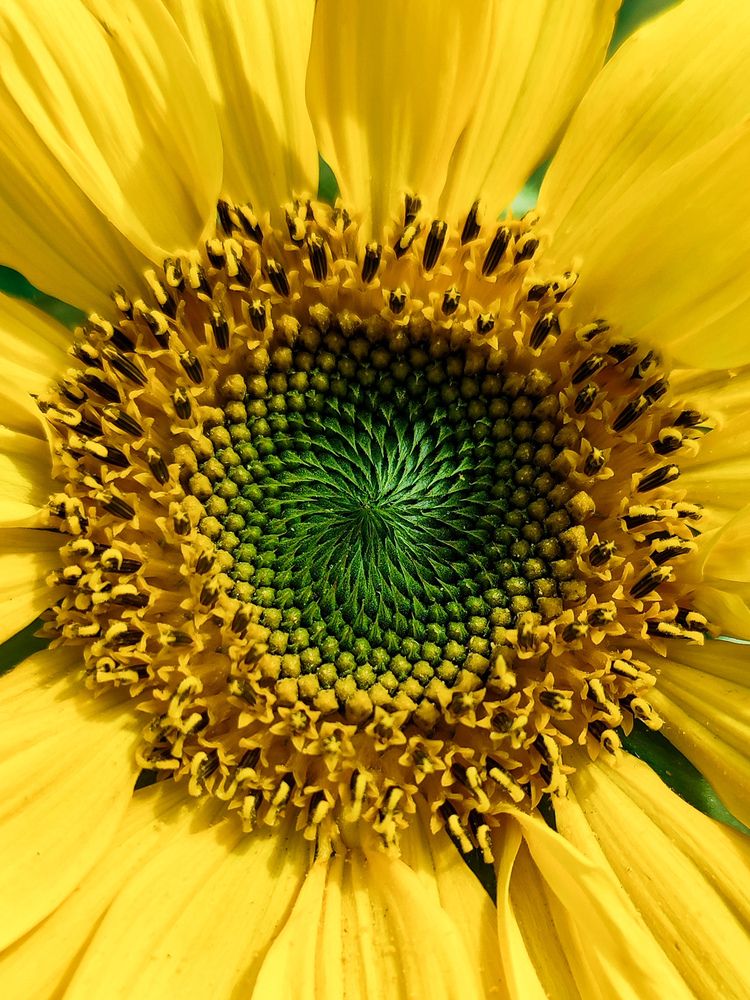 Photograph by Ирина Строкова