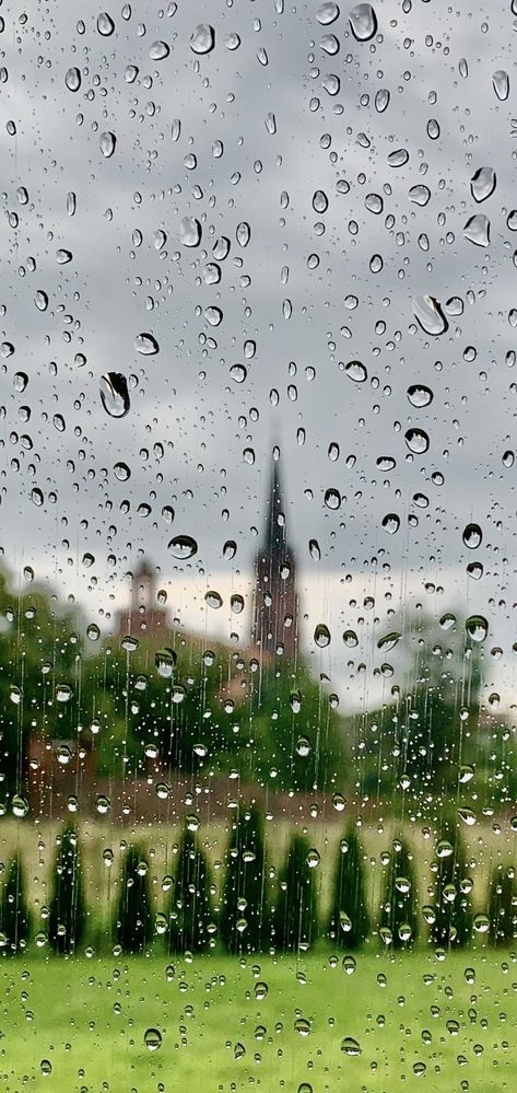 Photograph by Александр Чернега