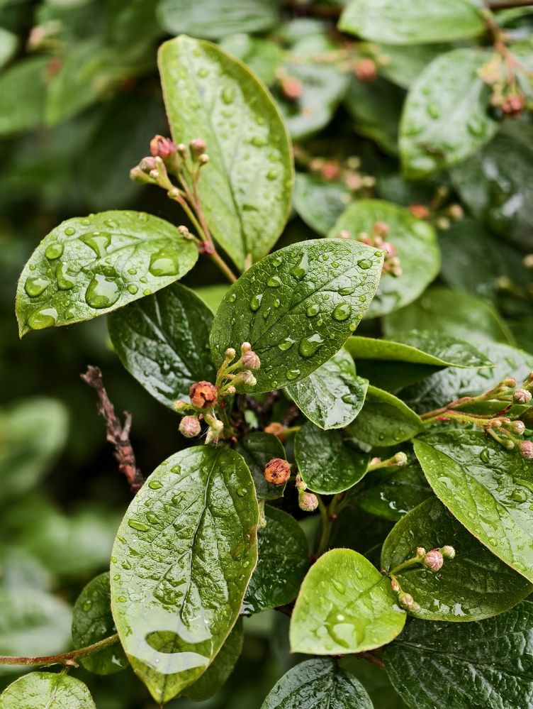 Photograph by Михаил Азаров