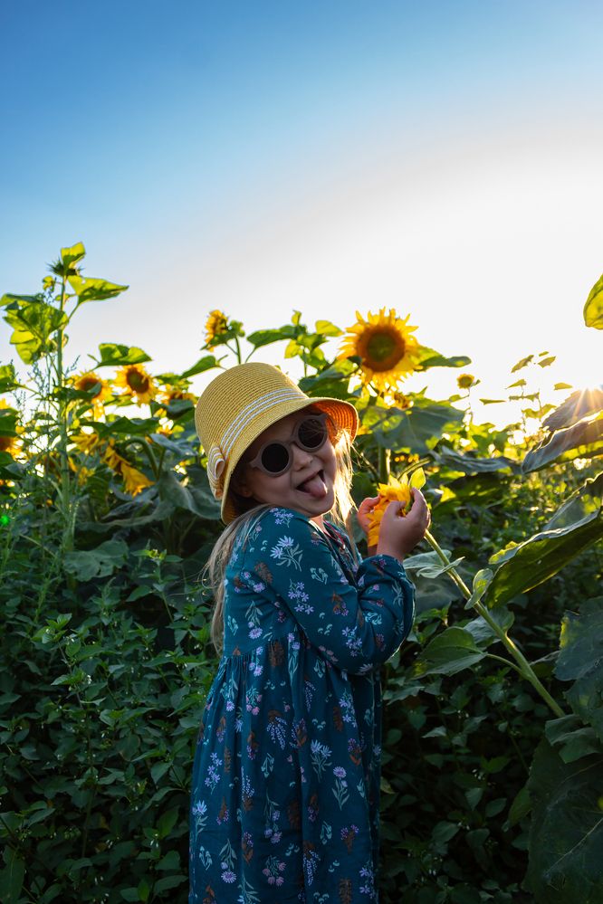 Фотография автора Анна Хмелькова