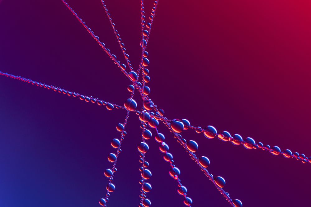 Photograph by Matteo Strassera