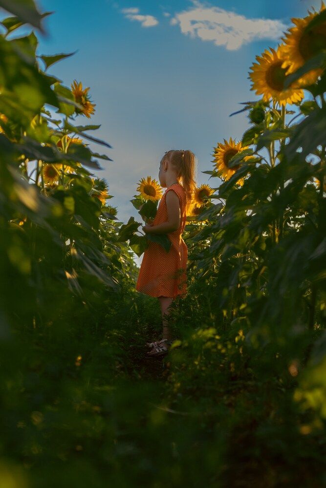 Photograph by Екатерина