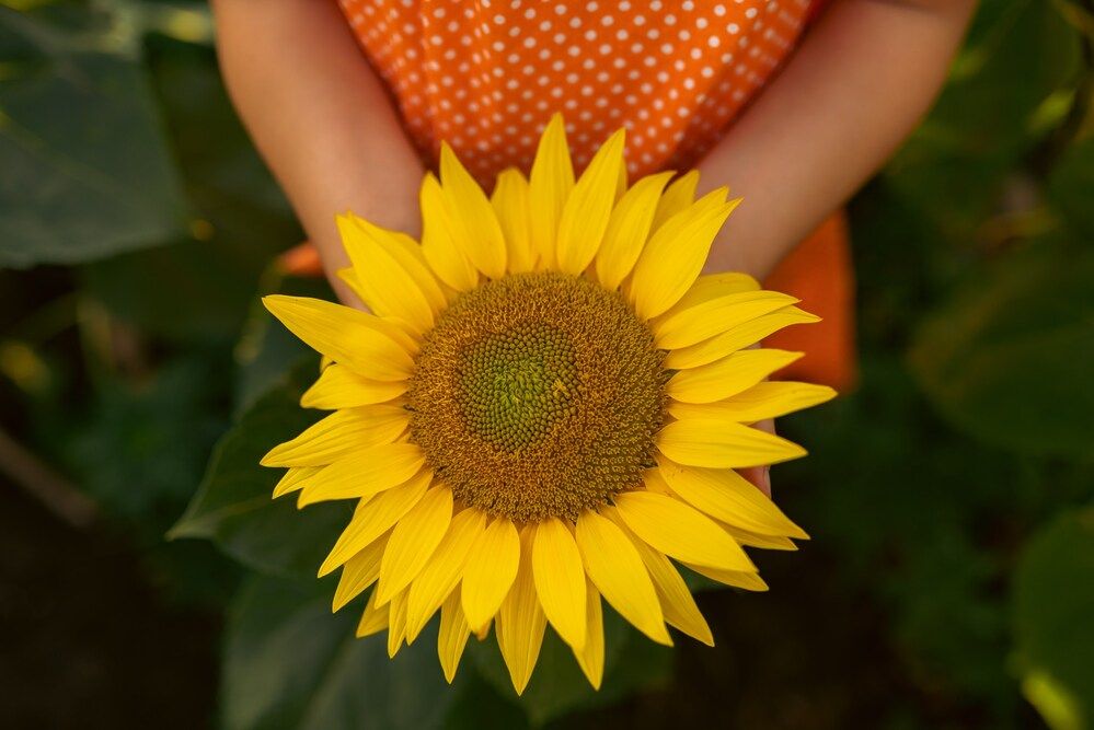 Photograph by Екатерина