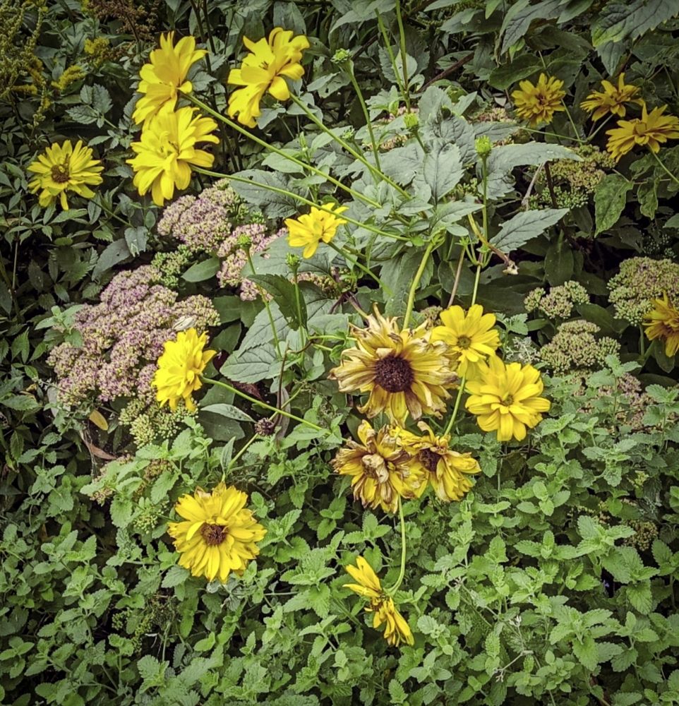 Photograph by Sergey Kurkov-Tarkovsky