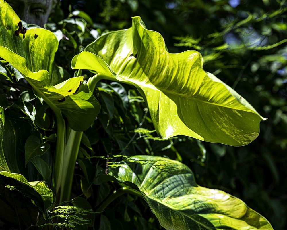 Фотография автора Ray Asiala