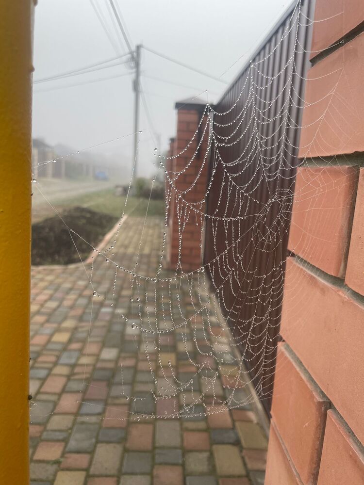 Фотография автора Юлия