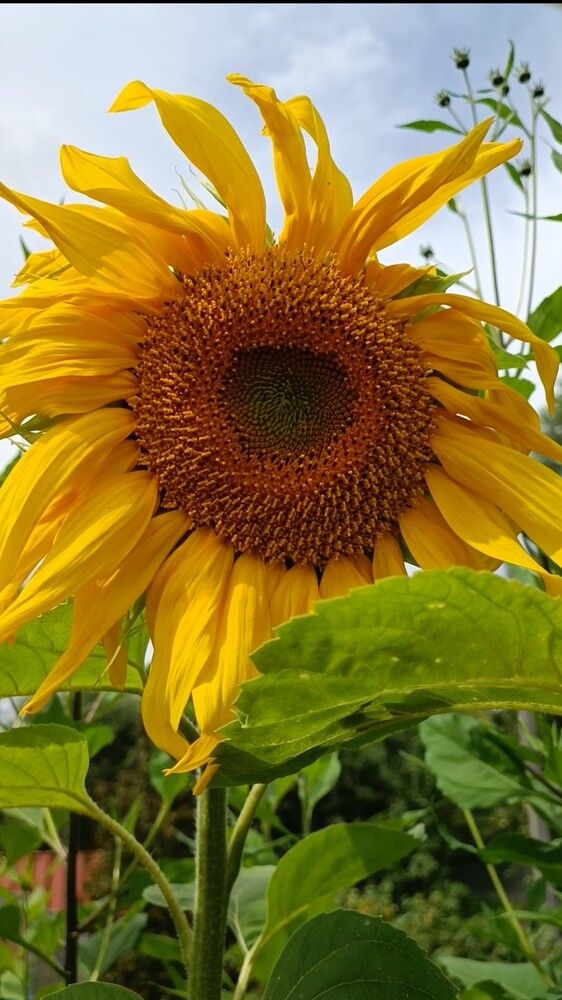 Photograph by Татьяна Яцкевич