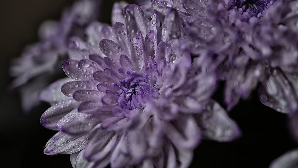 Photograph by Михаил Силантьев