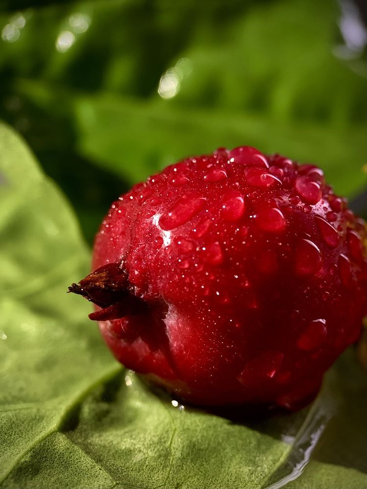 Photograph by Надежда Смирнова