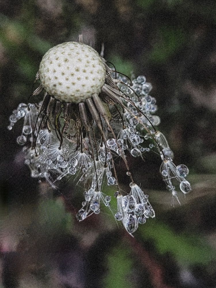 Фотография автора Казакова Людмила Ивановна