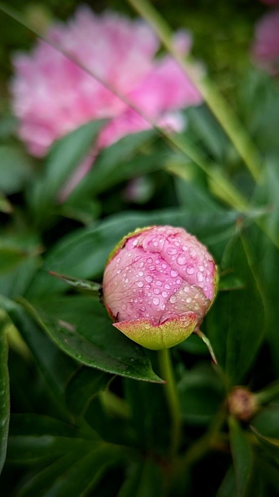 Photograph by Людмила Панюхина