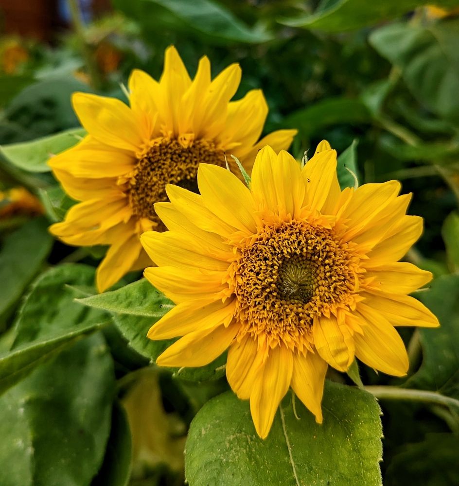 Photograph by Людмила Панюхина