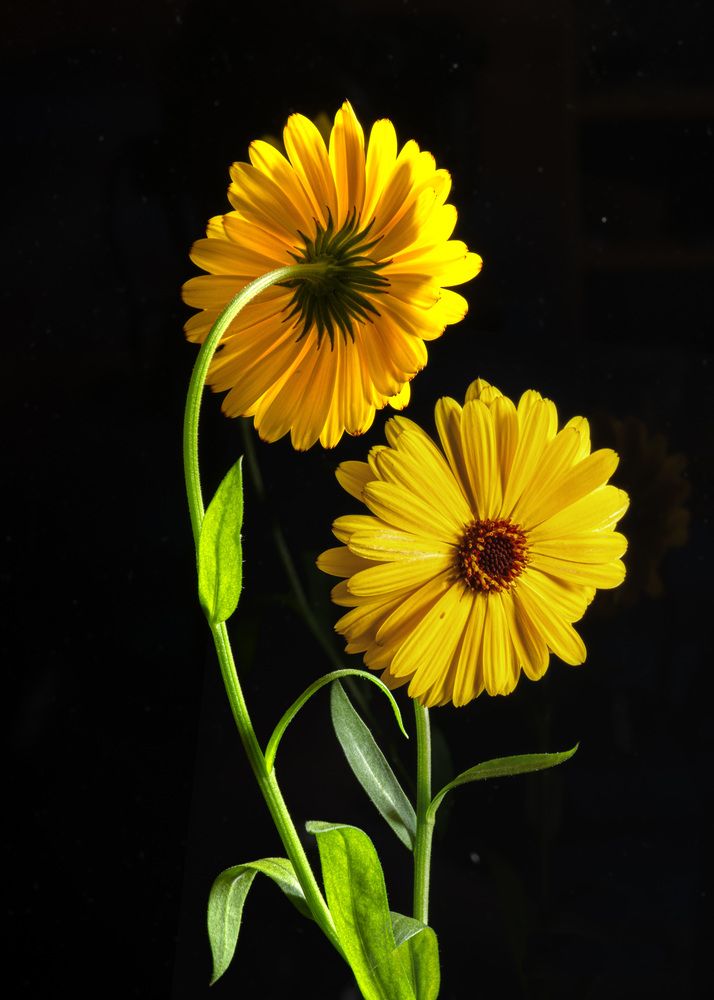 Photograph by Aleksandr Belov