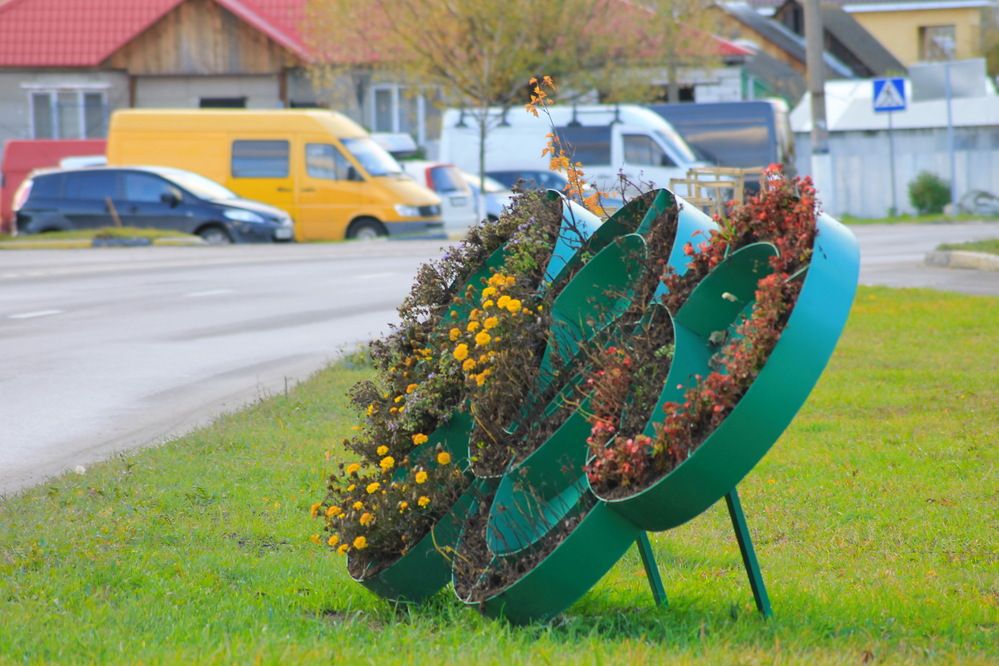 Photograph by Александр Гришин