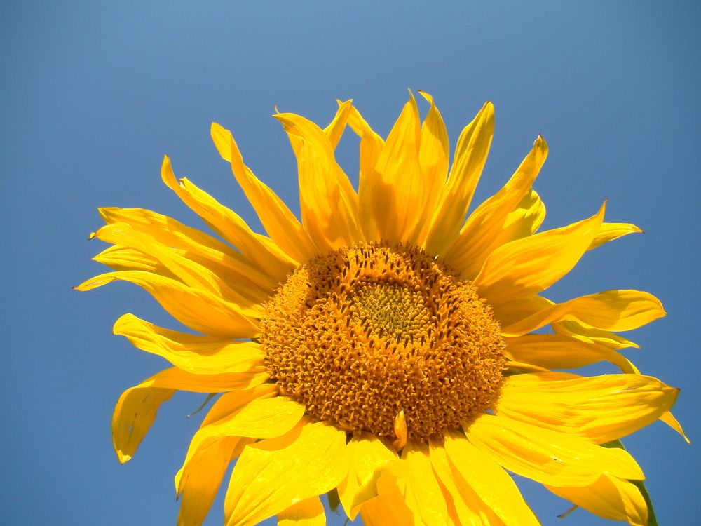 Photograph by Zakharov Matvey