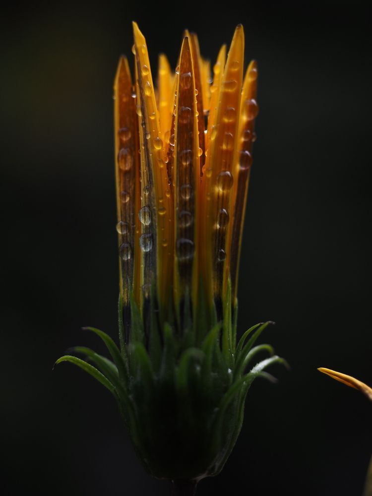 Photograph by Любовь