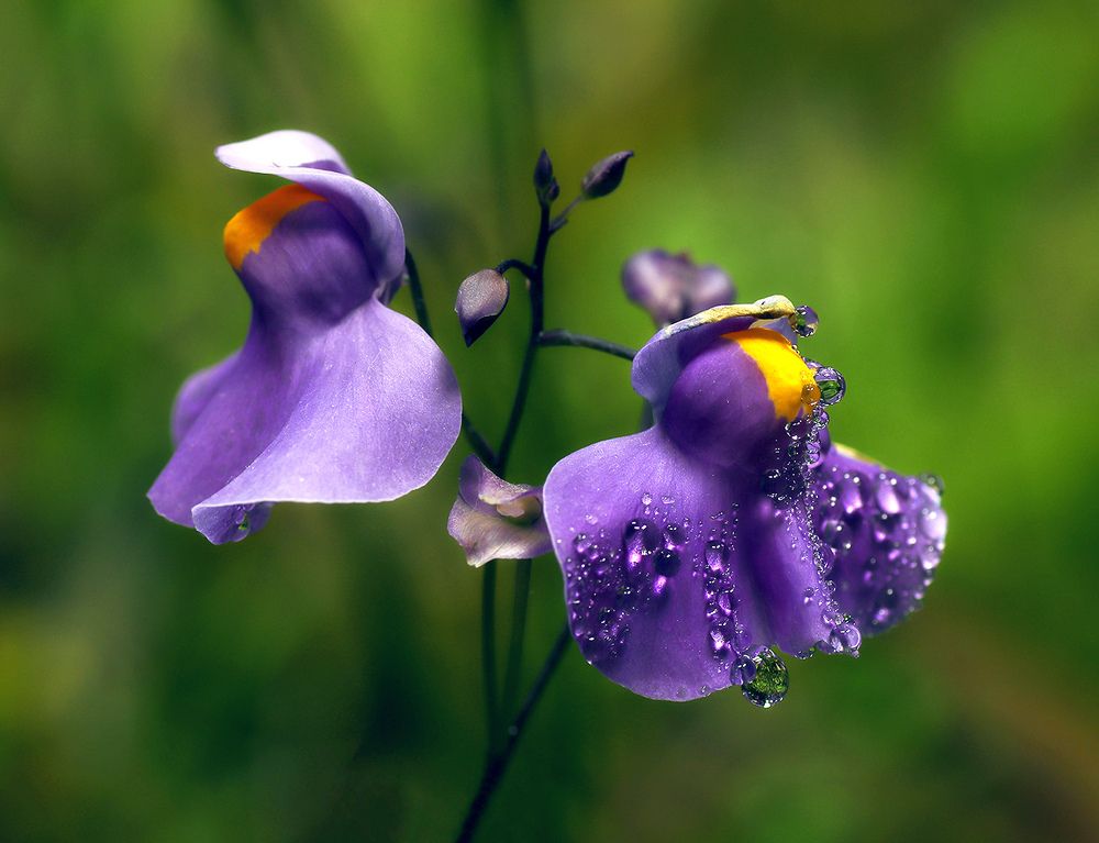 Фотография автора Кулешов Сергей