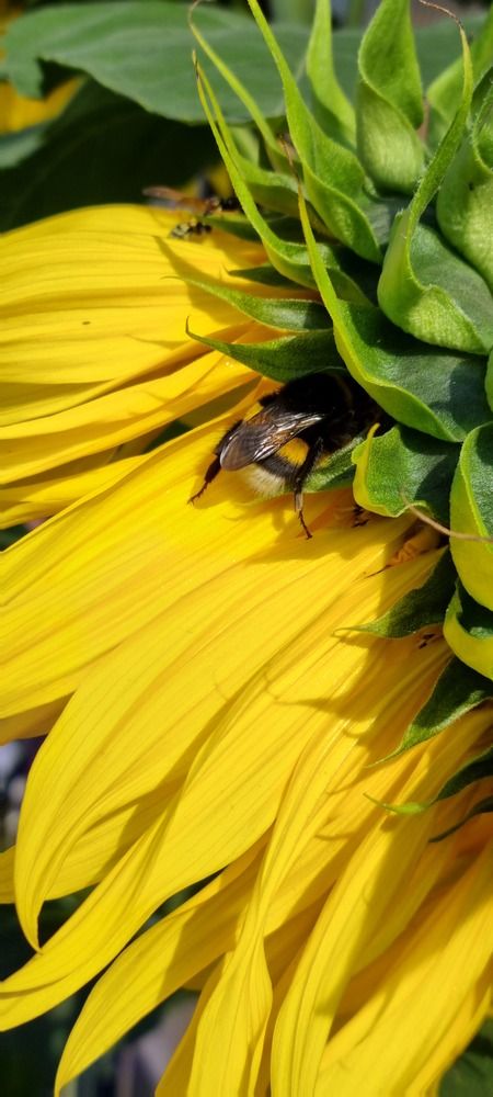 Фотография автора Наталья Агапова