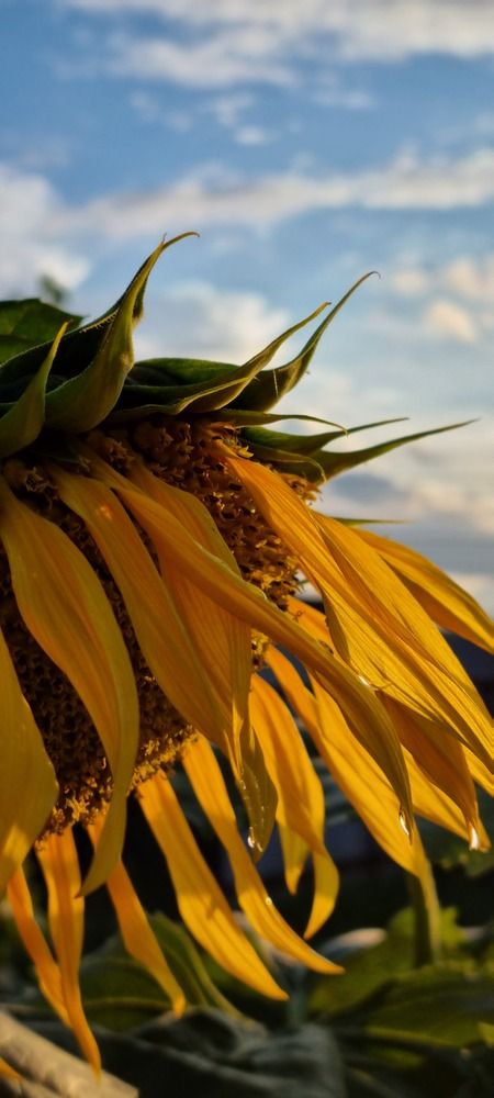 Фотография автора Наталья Агапова