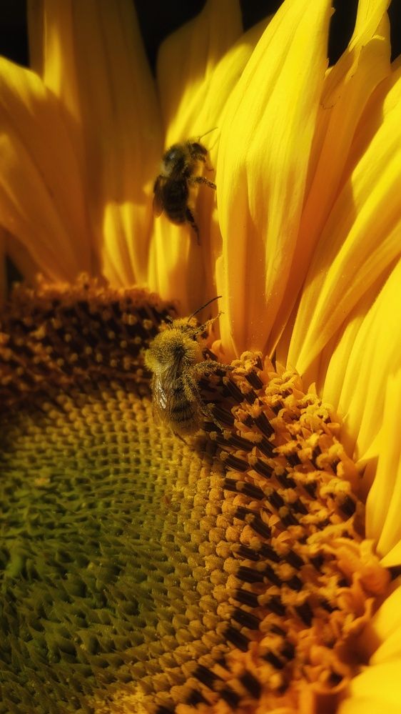 Photograph by Митюшкова Алёна