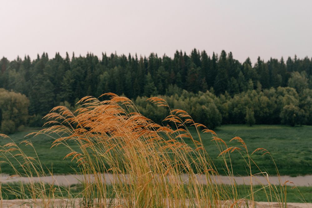 Фотография автора Мария Шишкина