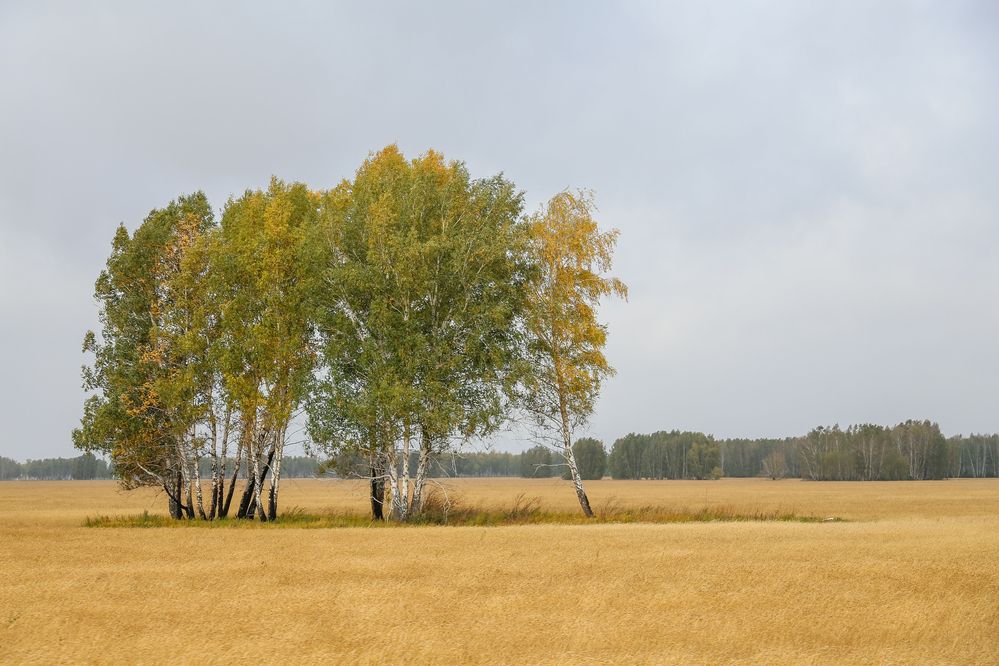 Фотография автора Дмитрий Климов