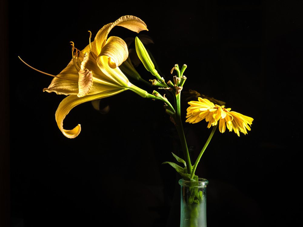 Photograph by Aleksandr Belov