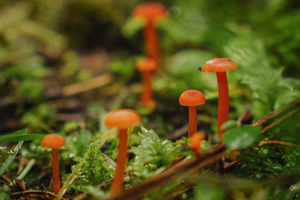 Фотография автора Мария Шишкина