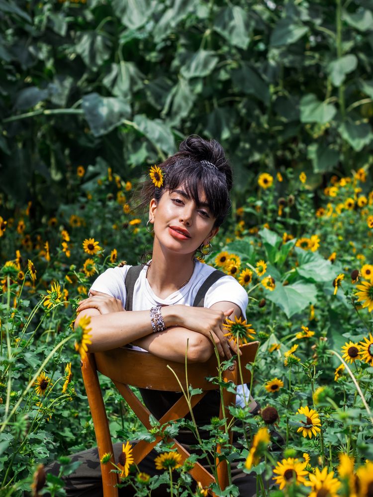 Photograph by mehdi shokravi