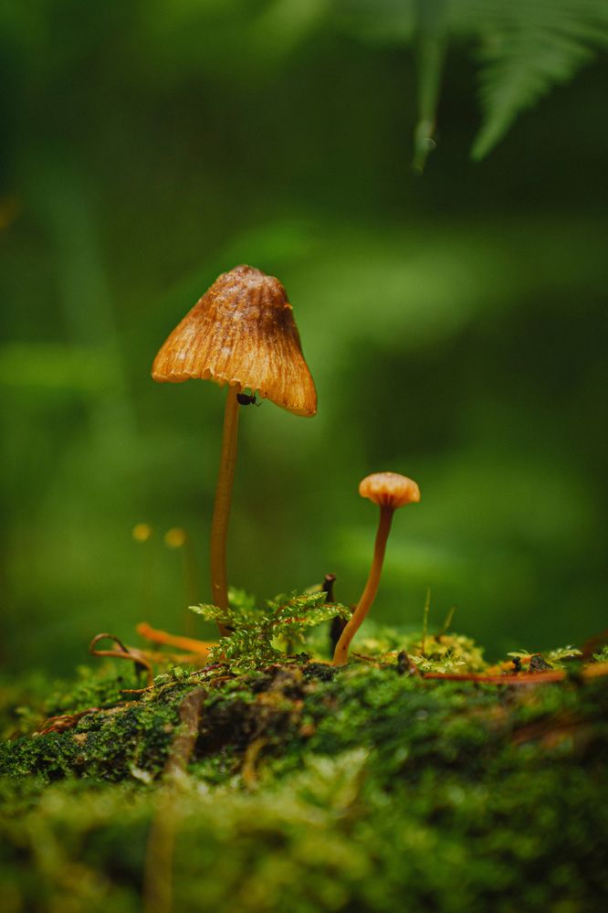 Фотография автора Мария Шишкина