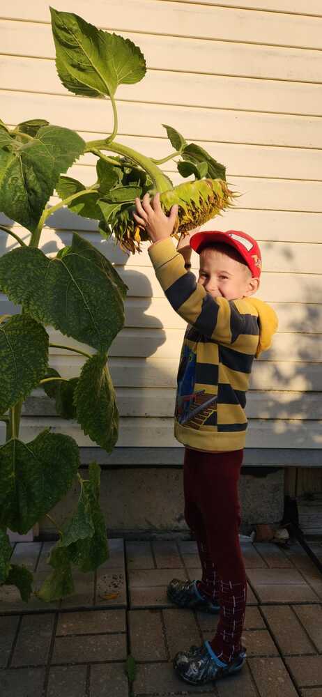 Photograph by Юлия Новожилова