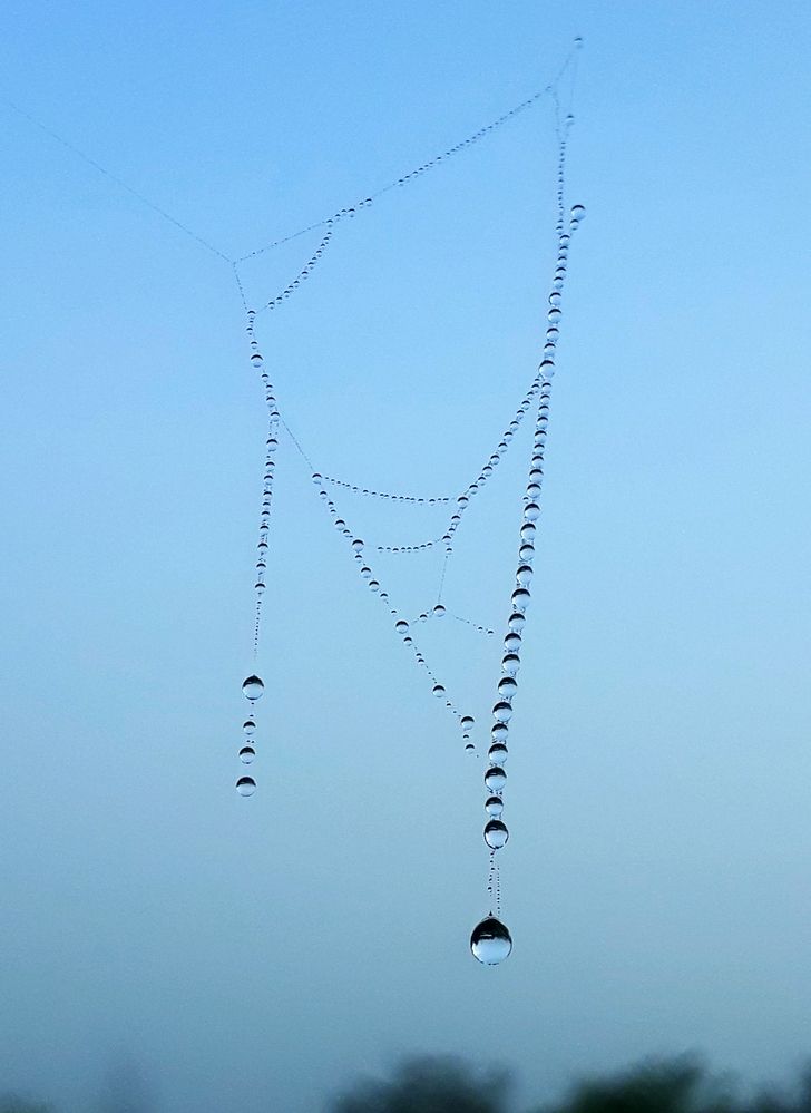 Photograph by Любовь