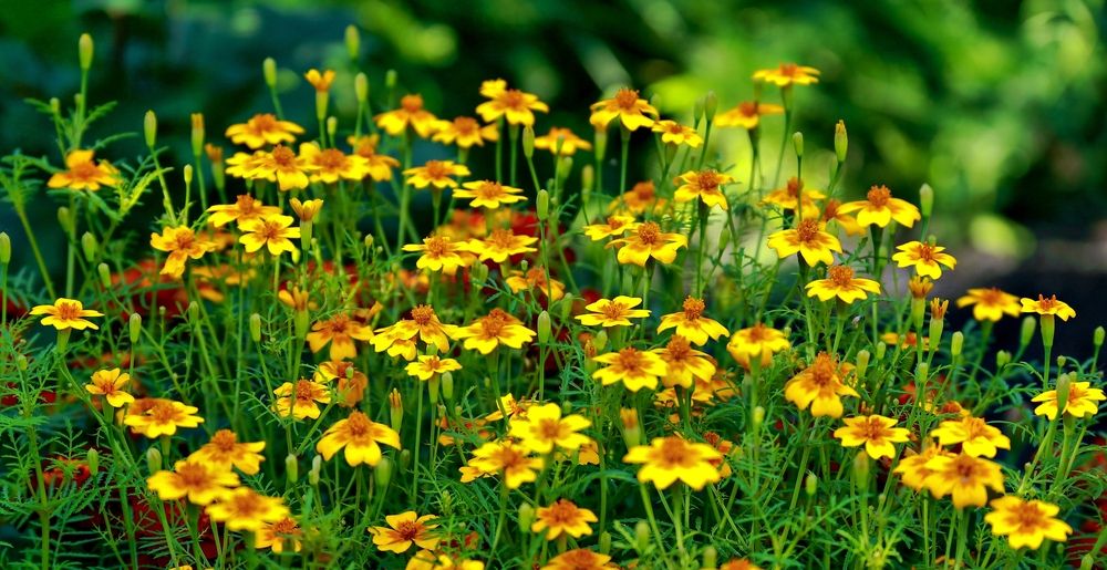 Фотография автора Дмитрий Климов