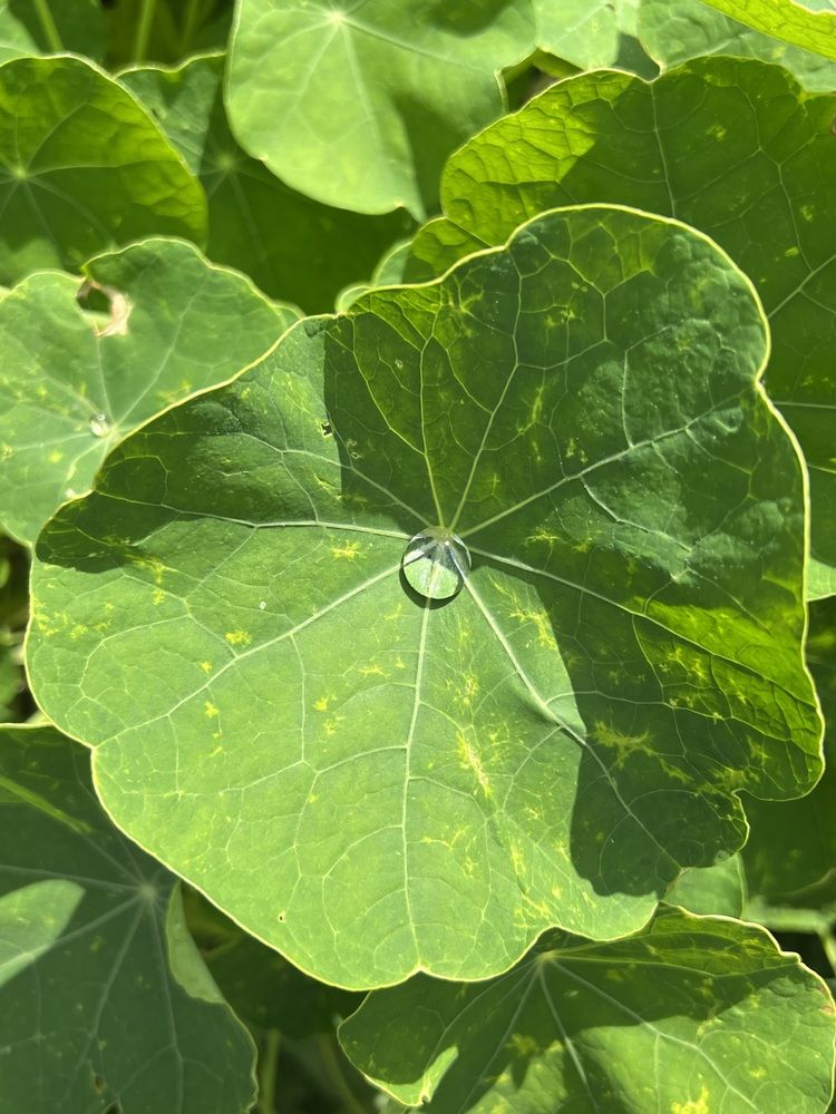 Photograph by Fatima Salimi